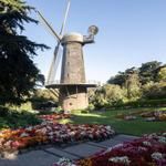 Golden Gate Park