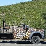 Malibu Wine Safaris