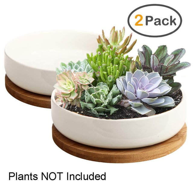 ZOUTOG Succulent Pots, 6 inch White Ceramic Flower Planter Pot with Bamboo Tray, Pack of 2 - Plants Not Included