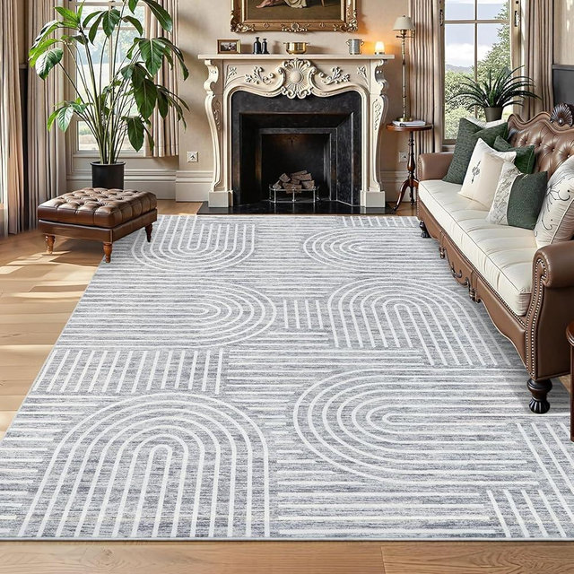 ROYHOME Washable Rug 8x10 Area Rugs for Living Room, Abstract Rug for Bedroom, Soft Rainbow Non Slip Throw Rugs with Rubber Back, Low Pile Stain Resistant Boho Geometric Carpet for Dining Room, Ash