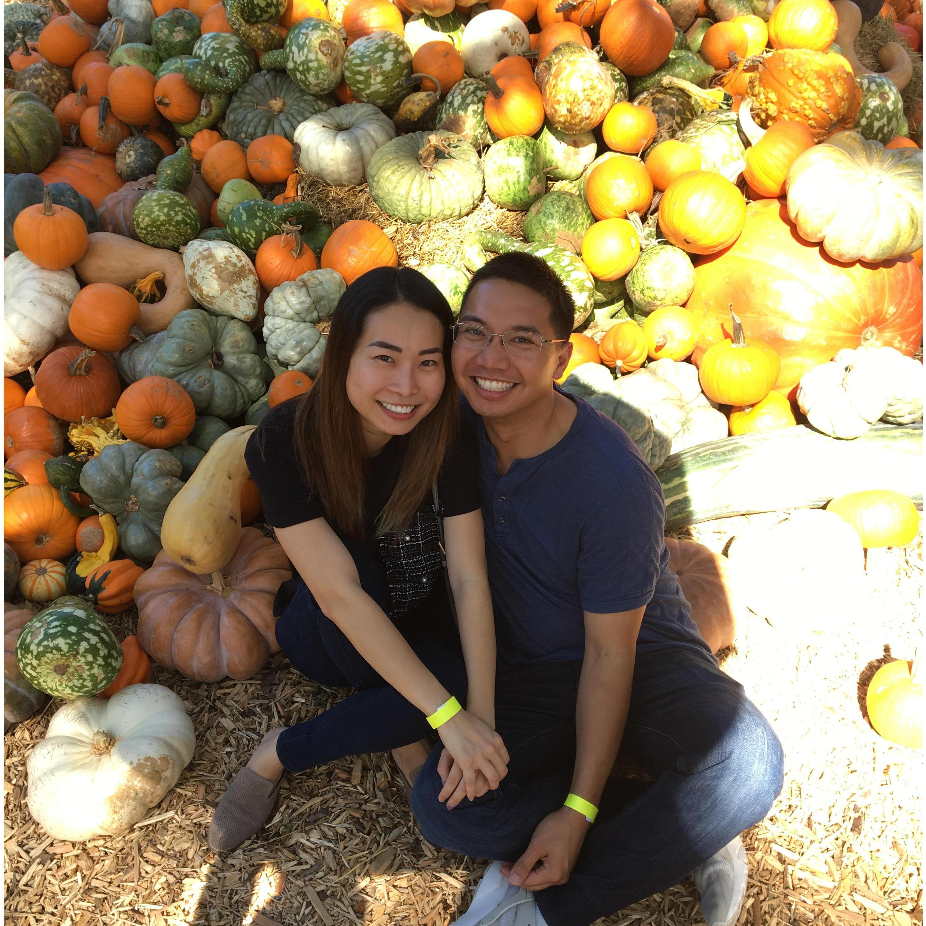 Pumpkins at the Arboretum