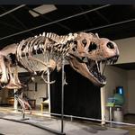 Discovery Center of Idaho