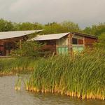 Estero Llano Grande State Park