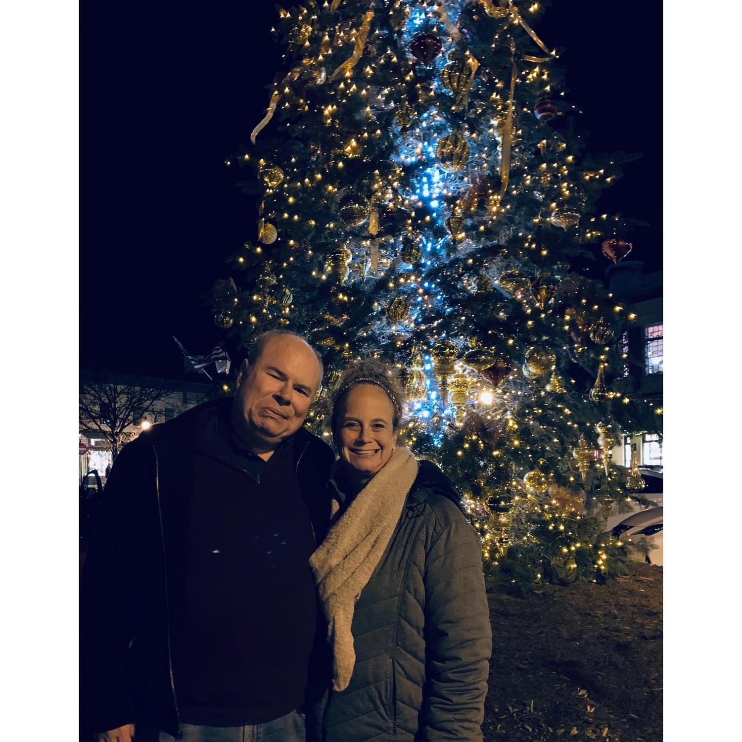 Christmas tree downtown Annapolis 2019