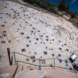 Dinosaur Ridge