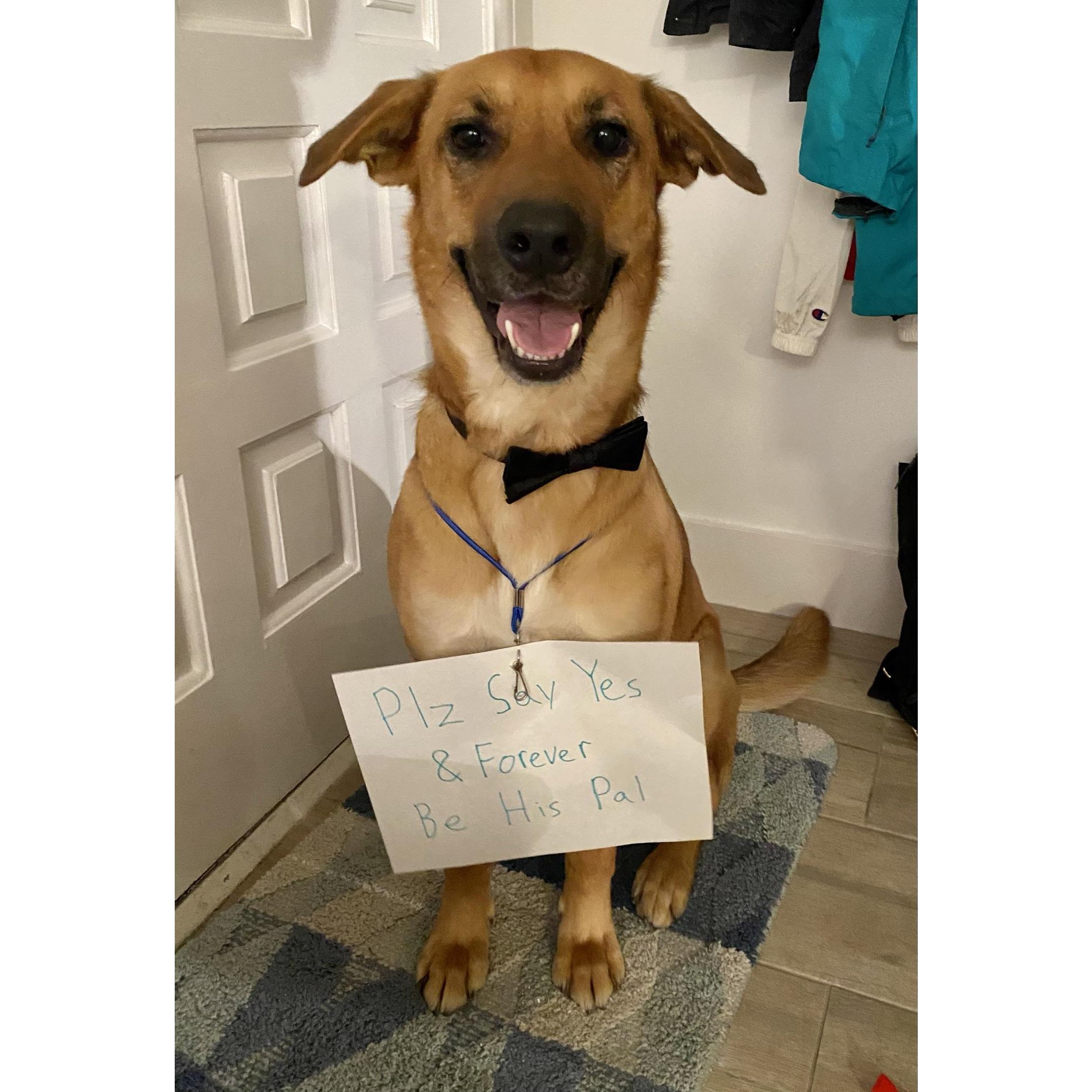 Kobe was the star of the engagement