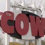 The Cow