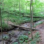 Lost Nations Area Trailhead