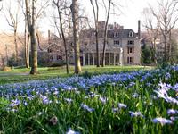 Winterthur Museum, Garden, and Library
