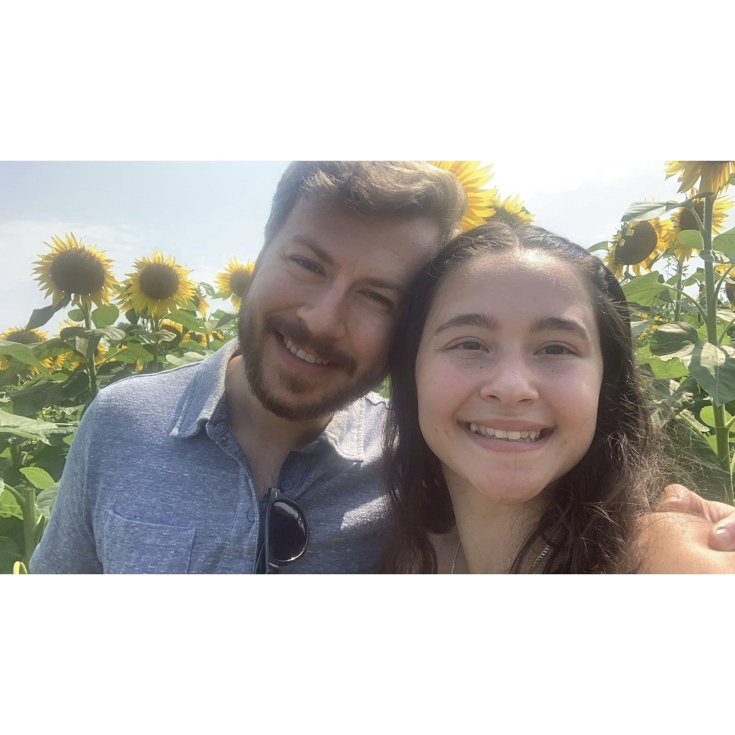 Another Sunflower Festival! 08/2023