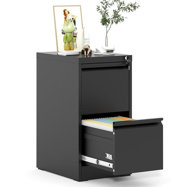 EKJ 2 Drawer File Cabinet, Metal Vertical Filing Cabinet for Home Office, Locking Steel Easy Assemble 18" D File Cabinet for Legal/Letter/A4/F4 (Black)