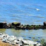 Albany Bulb