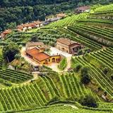 Valpolicella wineries
