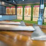 Epic Axe - Axe Throwing