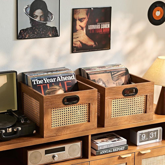 LELELINKY 2 Pack Vinyl Record Storage Crates, Rattan Vinyl Record Holder with Handle, TeaC Record Crate for Vinyls Holder up to 75 LP's, Desktop Cube Album Storage for Vinyls Records