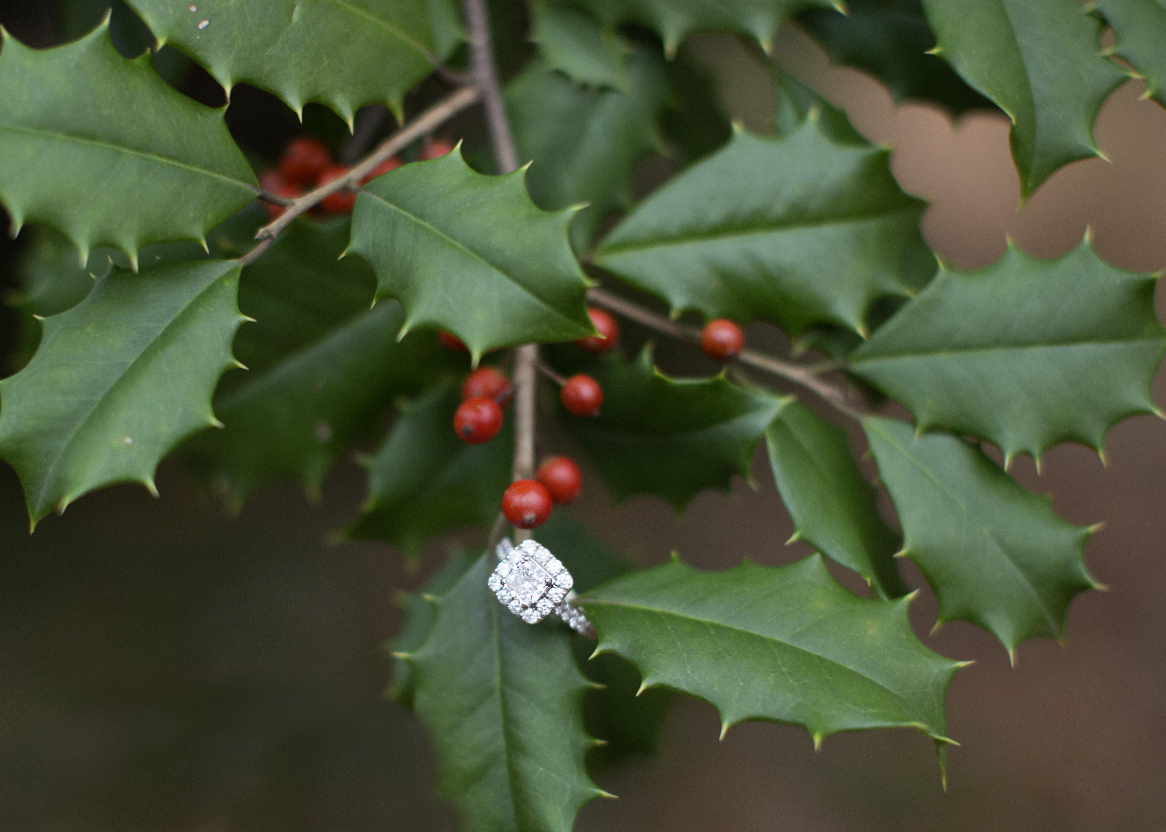 The Wedding Website of Elaine Ardo and Andrew Cornwell
