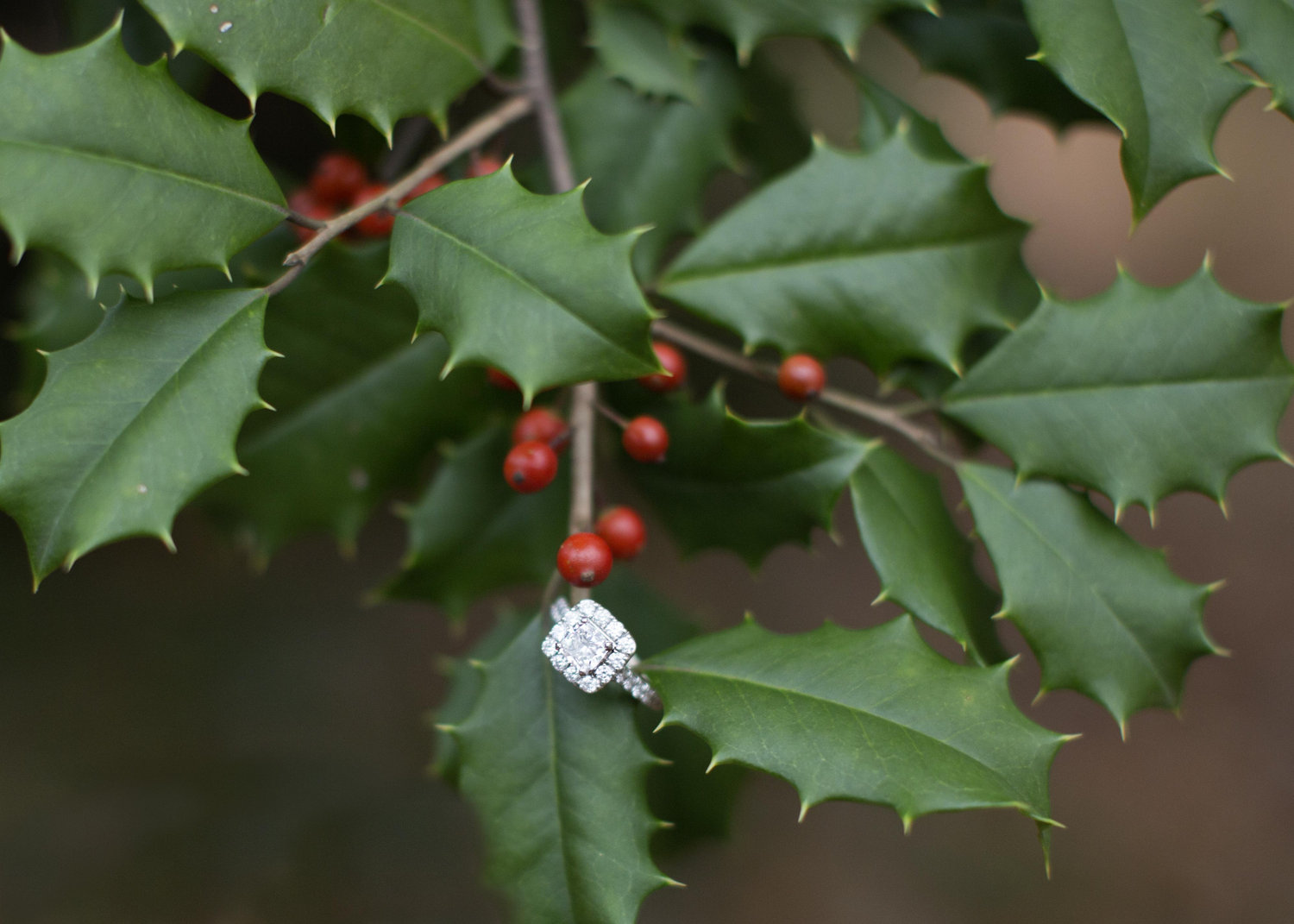 The Wedding Website of Elaine Ardo and Andrew Cornwell