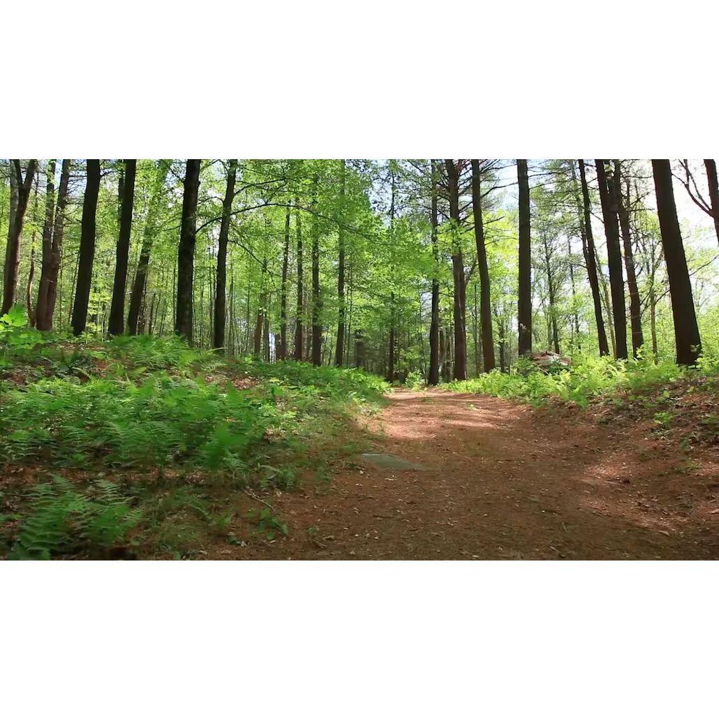 60 park like acres with private trails for hiking, jogging or horseback riding