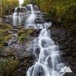 Hike Amicalola Falls