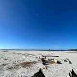 Carmel Beach