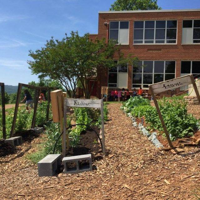 Donate to City School Yard Gardens