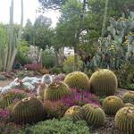 The Ruth Bancroft Garden & Nursery