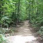 Go for a hike or run in Hartshorne
