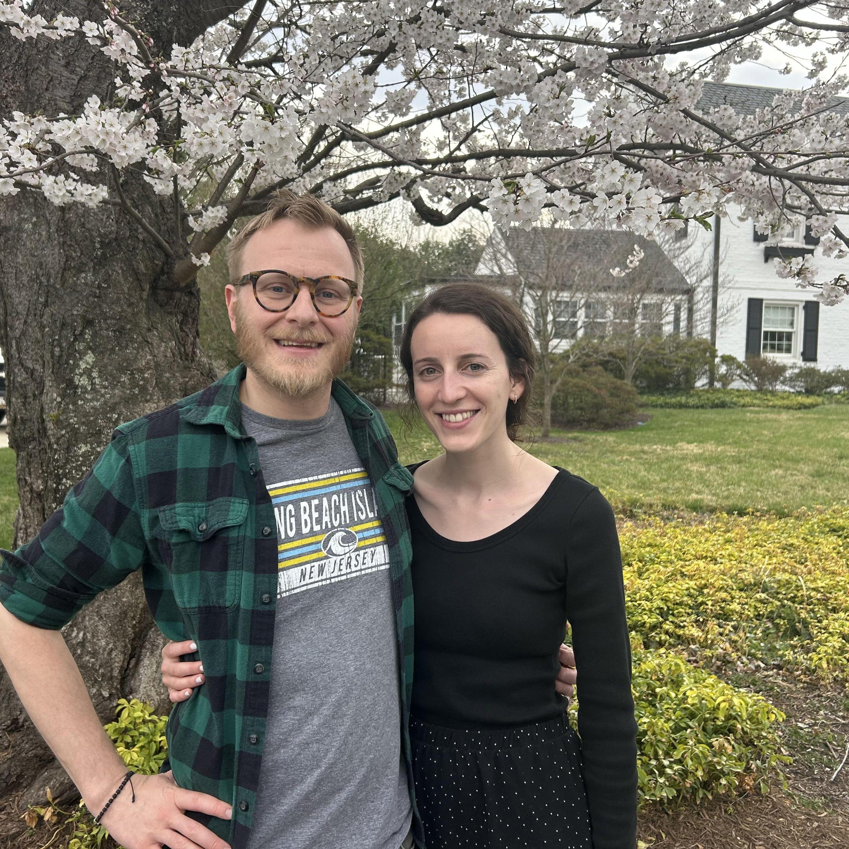 Cherry blossom viewing at the peak weekend