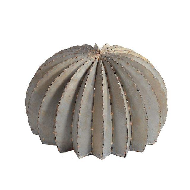 Golden Barrel Cactus