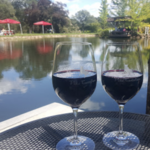 Vina Castellano Winery