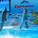Zoomarine Algarve, Portugal