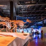 Houston Museum of Natural Science
