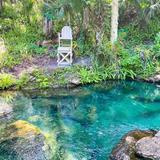 Kelly Park - Rock Springs