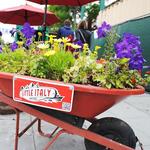 Little Italy Mercato Farmers' Market
