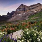Mount Timpanogos