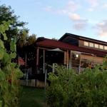 Sandhill Crane Vineyards