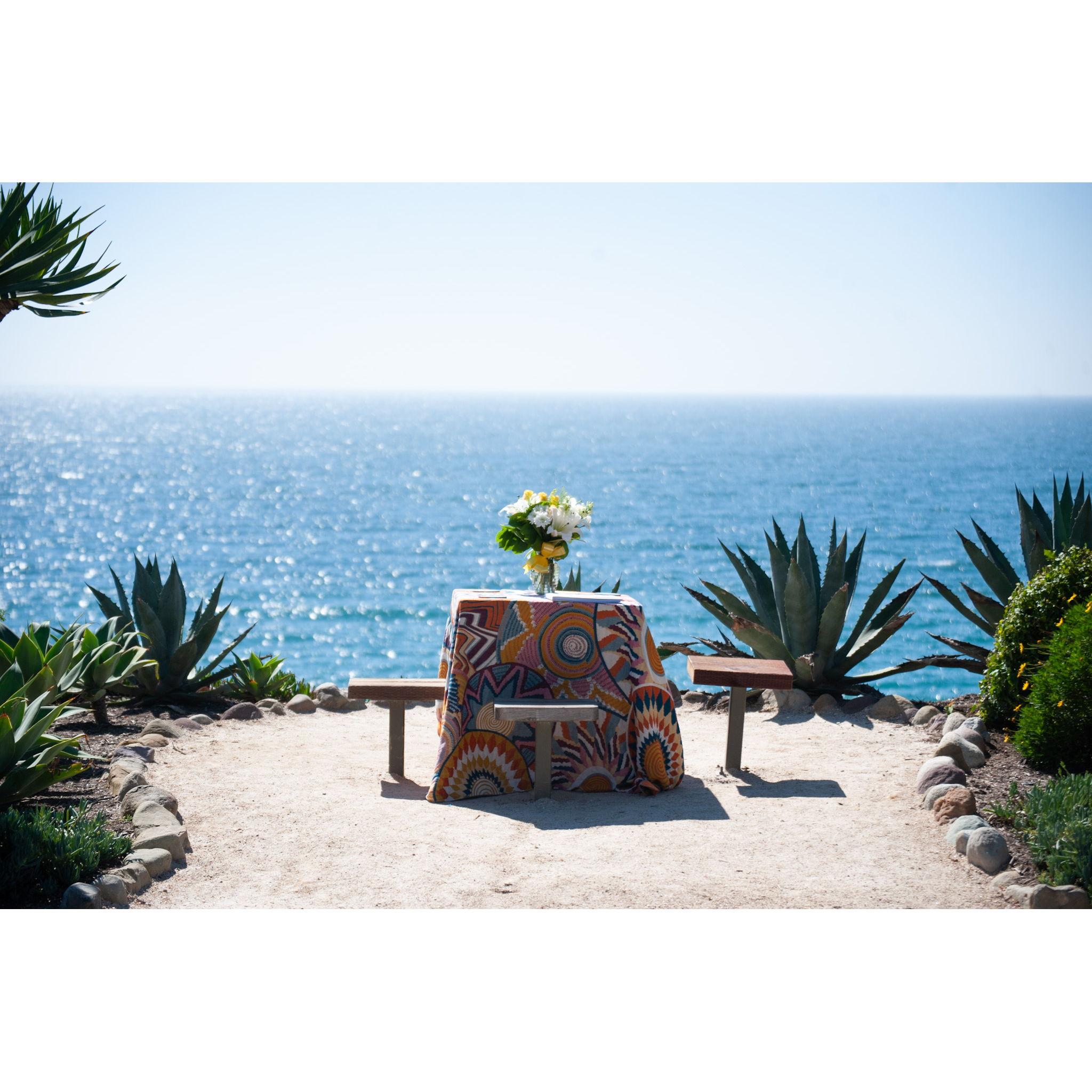 Max proposed at Laguna Beach