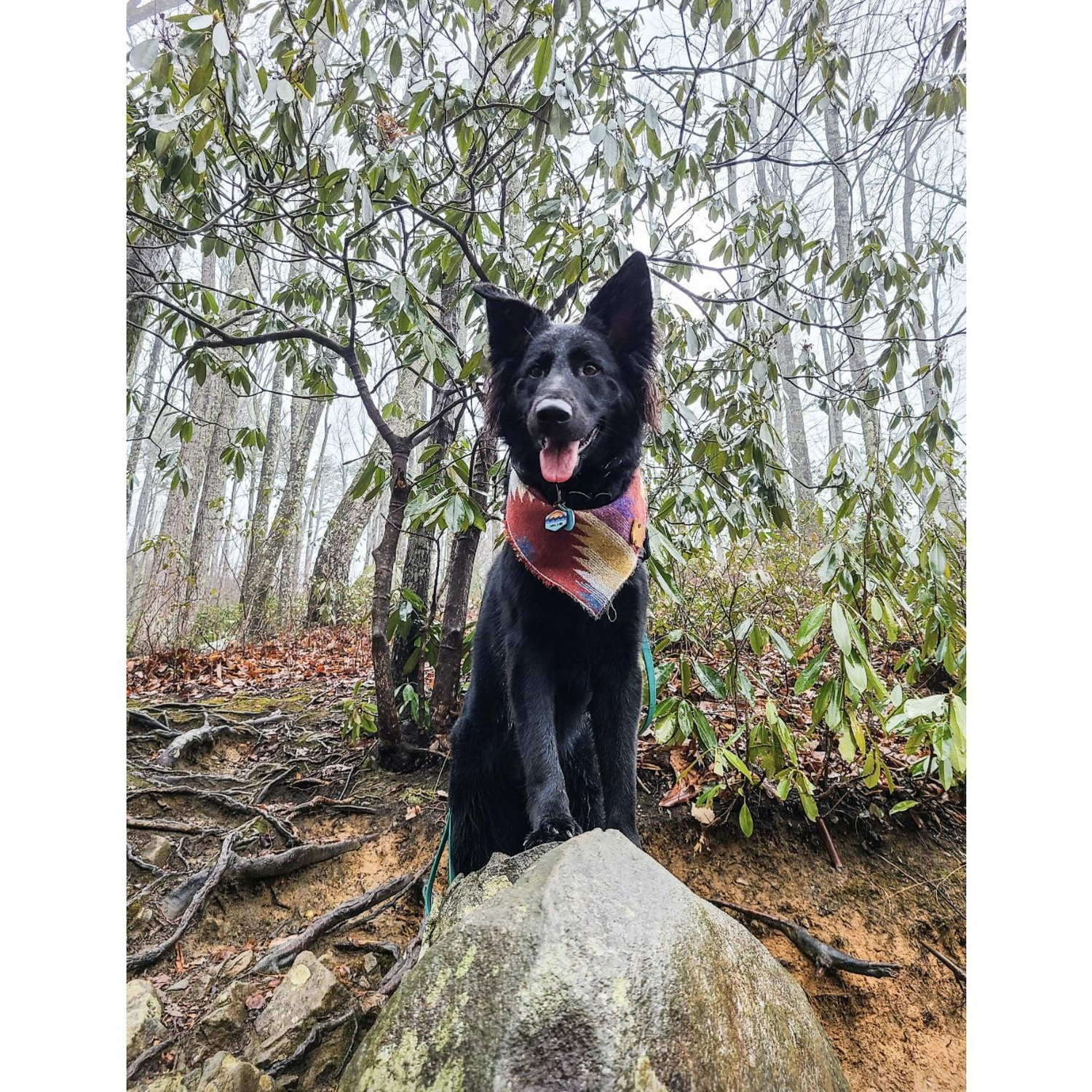 Photo op along the hike