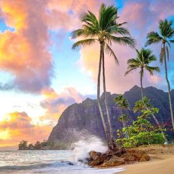 Honeymoon Experiences