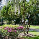 Mead Botanical Garden