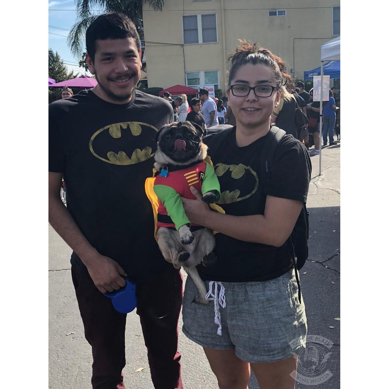 Pooch Parade!