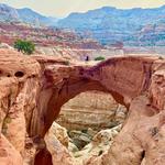 Capitol Reef National Park