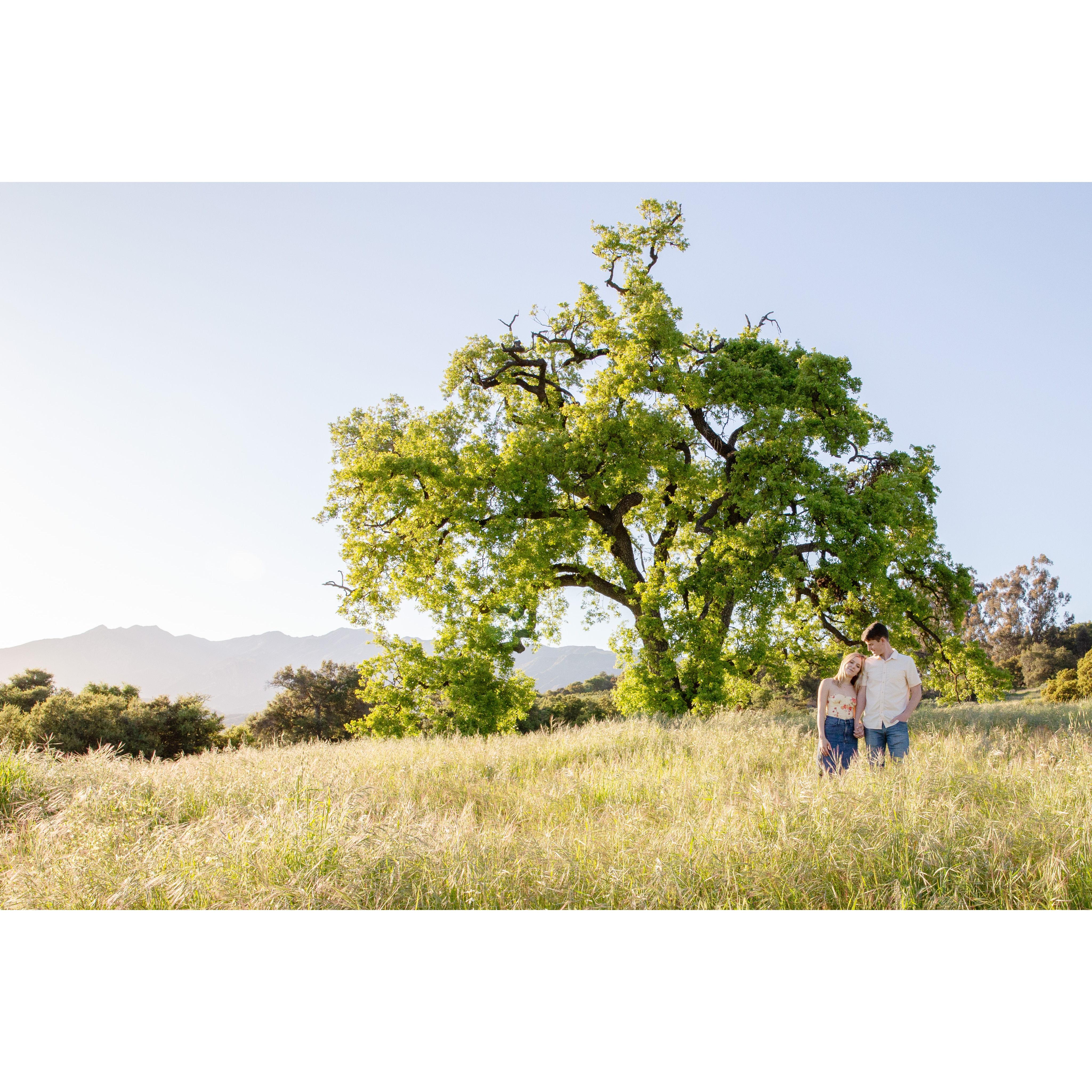 Ojai Meadows Preserve