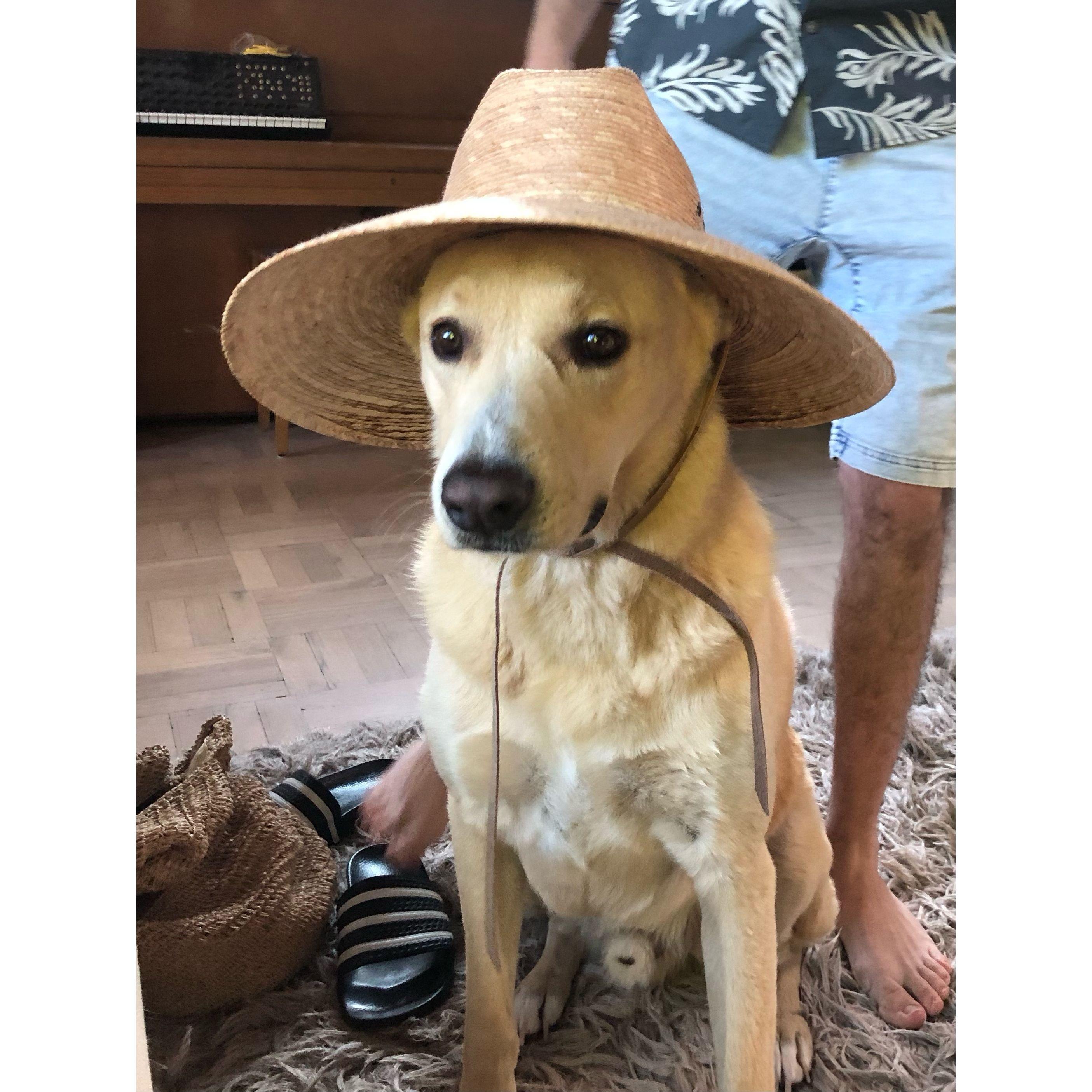 Goose as "Adventure Boy"