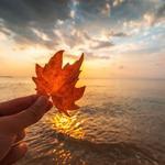 Coastal Queen Cruises