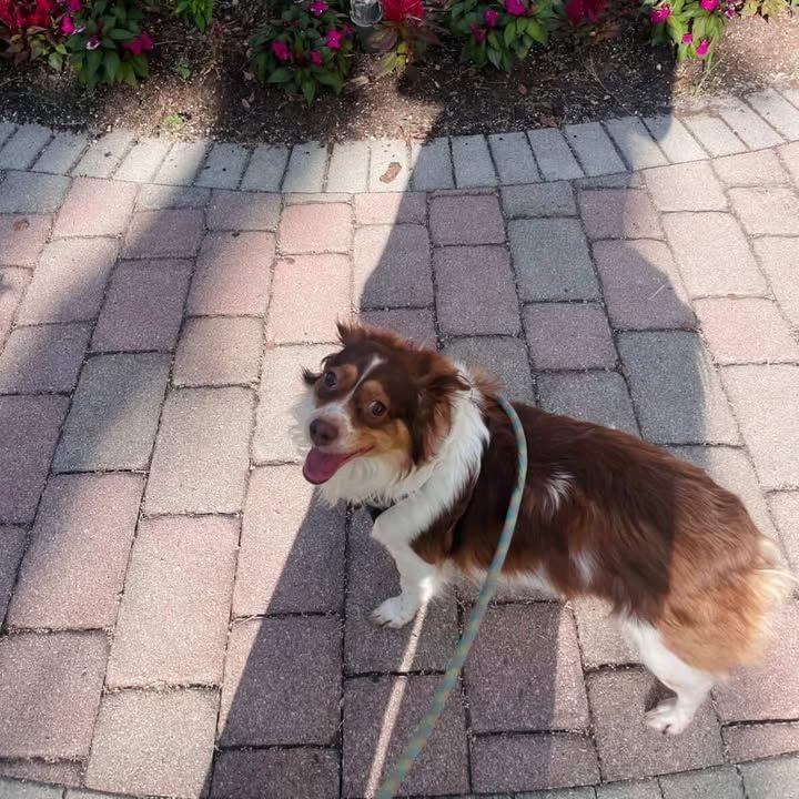 Our oldest sweetie boy baby son benny!