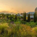 United States Botanic Garden