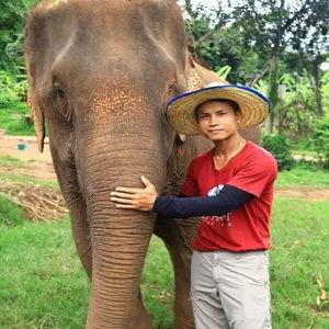 Visit an Elephant Sanctuary during our honeymoon