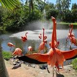 Sarasota Jungle Gardens