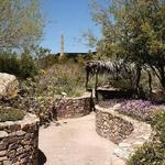 Arizona-Sonora Desert Museum